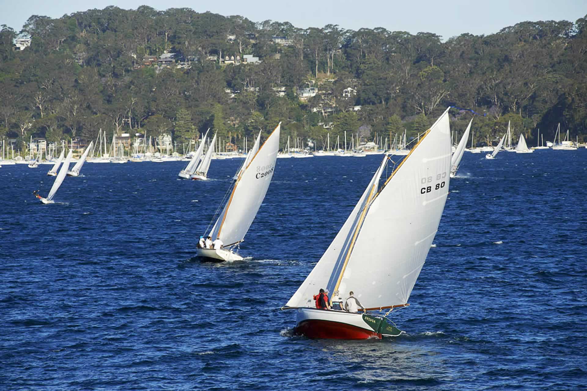 buy property northern beaches